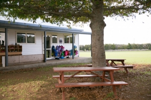 Room 5 and 6 Picnic Tables